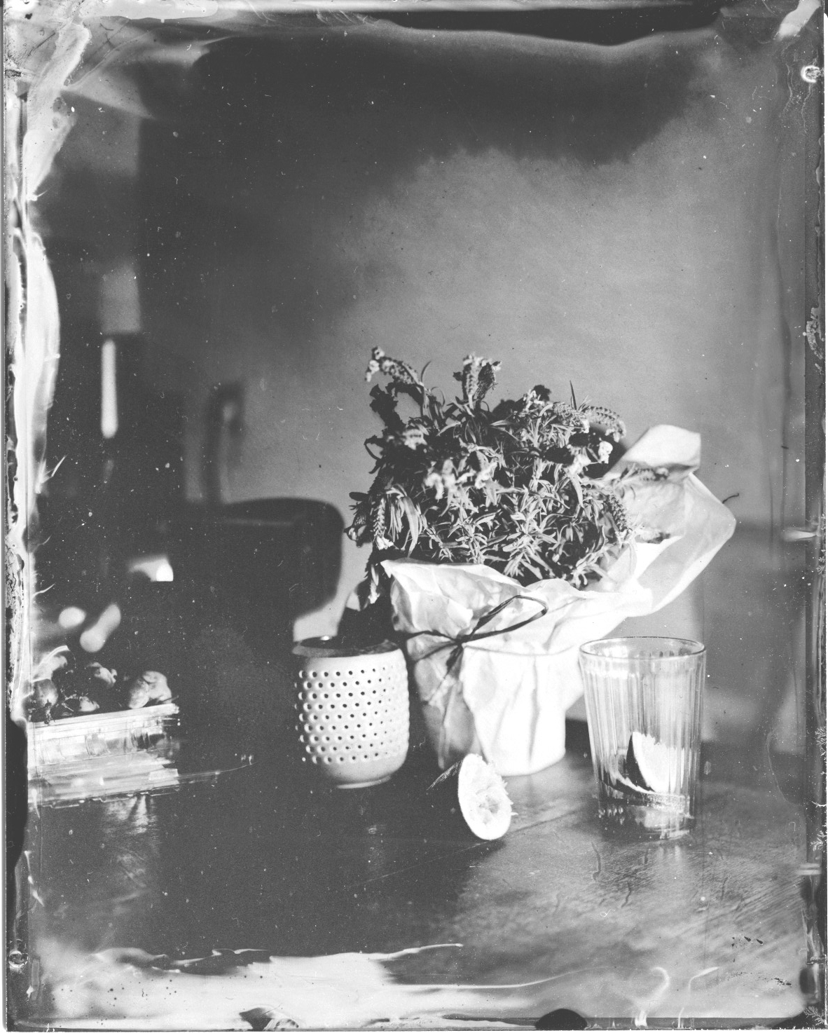 /visual/first_steps/img/wetplate_scan_Stilllive1.jpg