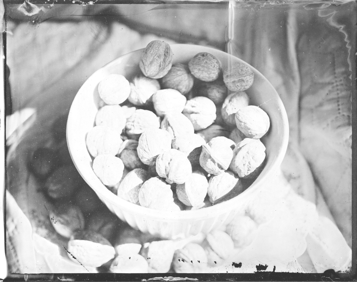 /visual/first_steps/img/wetplate_scan_nuts.jpg